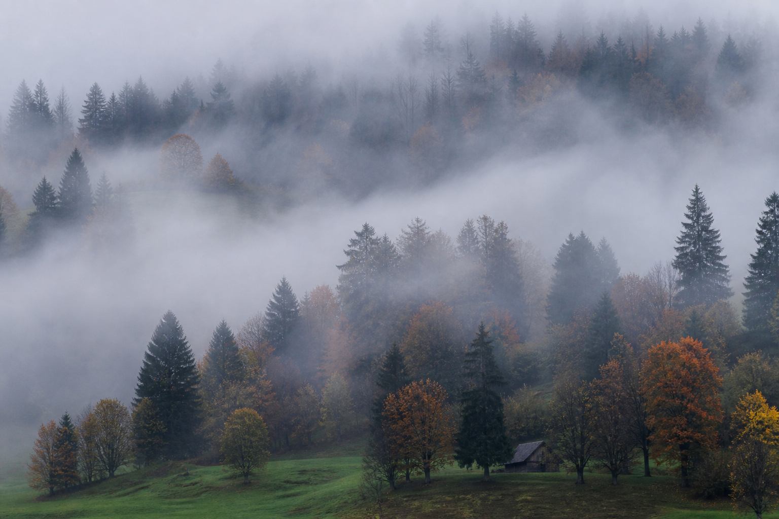Nebelige Flusstäler und herbstliche Wälder Deutschlands